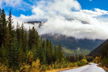  Kanada 'nın Rocky Dağları. Hint yazı. Kozalaklı ormanların arasında muhteşem bir dağ yolu. Mavi gökyüzünde yemyeşil kümülüs bulutları. Jasper Park 'ın muhteşem manzarası