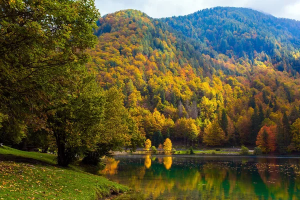 秋天的绚丽色彩 福兹纳湖橙色 黄色和红色的树反映在湖水的绿色平缓中 意大利 — 图库照片