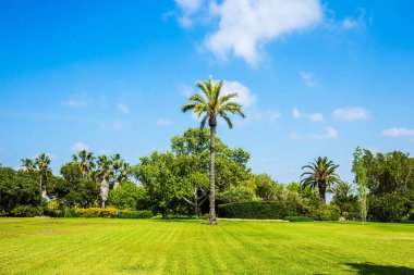 İsrail 'deki Carmel Dağı' nın yamaçlarında muhteşem bir park. Parkın ortasında büyük yeşil çimenli bir çayır. Temiz ve bakımlı bir parkta harika bir yürüyüş.