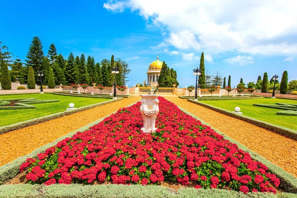 Luxe Bloembed Met Felrode Bloemen Bahai World Center Pelgrimscentrum Populaire — Stockfoto