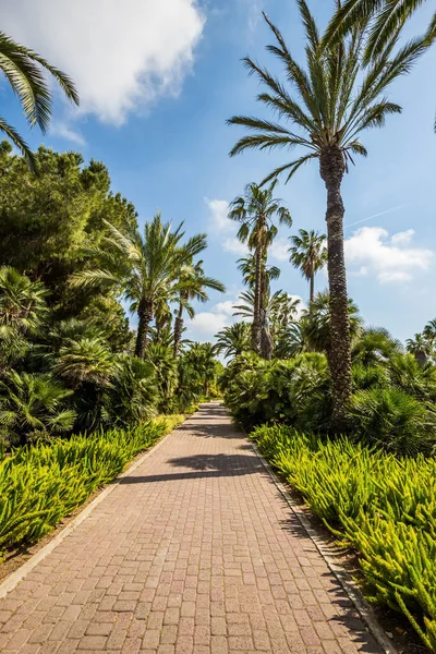 Pasarela Panorámica Pavimentada Piedra Cálido Día Soleado Gran Paseo Parque —  Fotos de Stock