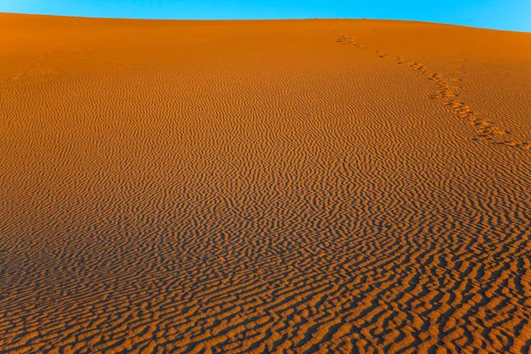 Ηπα Ελαφρά Κύματα Άμμου Από Τον Άνεμο Της Ερήμου Πορτοκαλί — Φωτογραφία Αρχείου