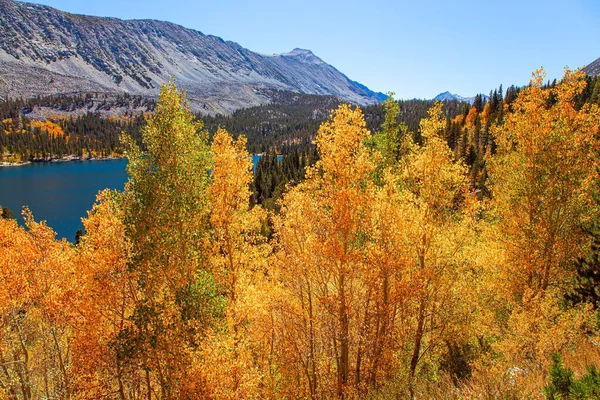 Laghi Rock Creek Road Autunno Lussureggiante Montana Usa Foglie Arancioni — Foto Stock