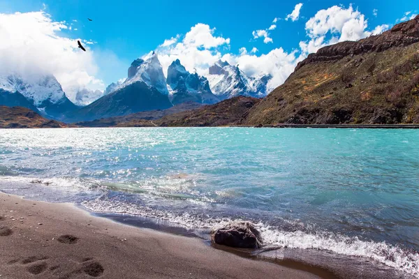 Voyage Chili Lac Pittoresque Pehoe Dans Les Andes Patagoniques Énorme — Photo