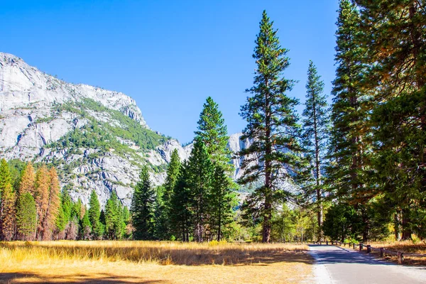 Yosemite Vadisi Vadinin Çayırlarında Sonbahar Sarısı Çimenler Vardı Yosemite Parkı — Stok fotoğraf