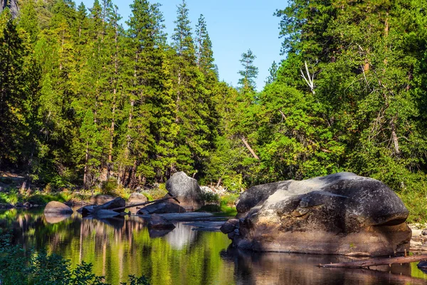 Het Schaduwrijke Bos Wordt Weerspiegeld Het Water Charmant Meertje Yosemite — Stockfoto