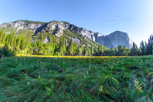 Batı Cordillera Yosemite Vadisi Meşhur Taş Devi Capitan Yosemite Park — Stok fotoğraf