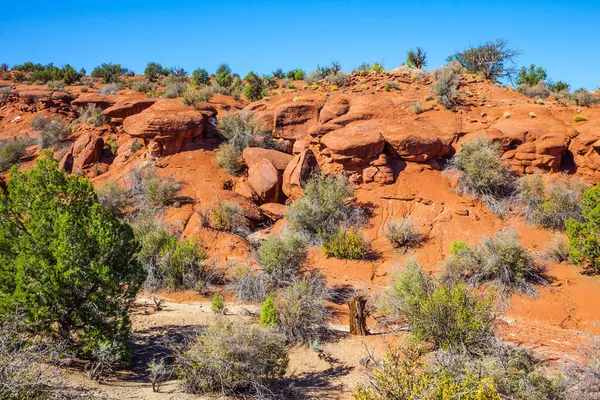 Feldweg Aus Rotem Sandstein Paria Canyon Vermilion Cliffs Wilderness Area — Stockfoto