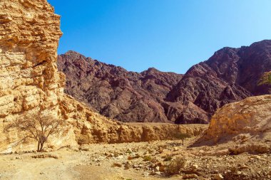 Eilat Dağlarının çeşitliliği ve manzaralı güzelliği. Eilat çevresindeki dağlarda manzara oluşumları. Dağ kenarı