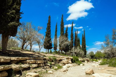 Ben Gurion Anıtı 'nın etrafındaki küçük, manzaralı çöl parkı. Selvi sokakları. Doğal bir yaylada dik bir kaya. Qing ve Ramat Avdat 'ın vadilerindeki manzaraların manzarası..