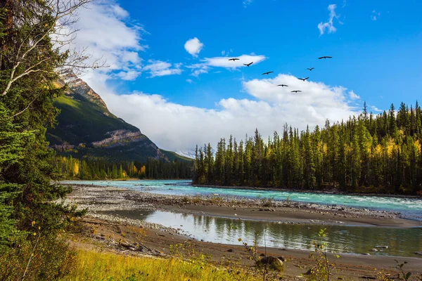 Berg Floder Och Vattenfall Utgör Magnifika Landskap Kanada Athabasca Floden — Stockfoto