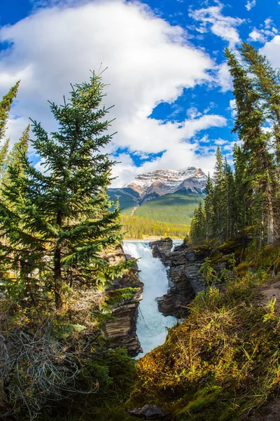 Picturesque Narrow Gorge Canadian Rockies Famous Rugged Athabasca Falls Mountains — Stock Photo, Image