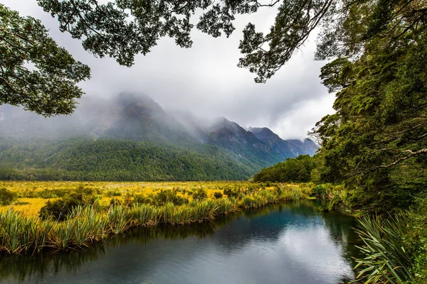 Morgon Väg Till Milford Sound Nya Zeeland Sydöns Majestätiska Natur — Stockfoto