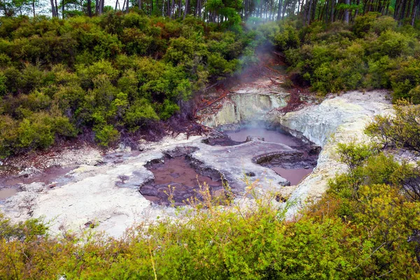 Waimangu Volcanic Rift Valley Zona Geotérmica Rotorua Lago Del Cráter — Foto de Stock