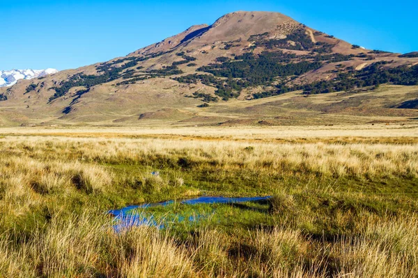 Pampas Circondano Montagne Innevate Piccole Pozzanghere Ruscelli Ricoperti Erba Argentina — Foto Stock