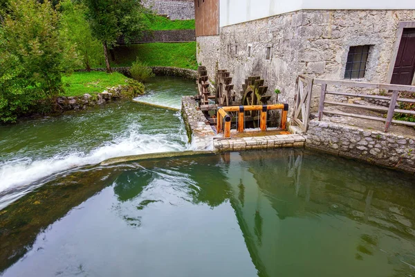 Schilderachtige Rivier Het Groene Park Postojna Grot Magische Plaatsen Slovenië — Stockfoto