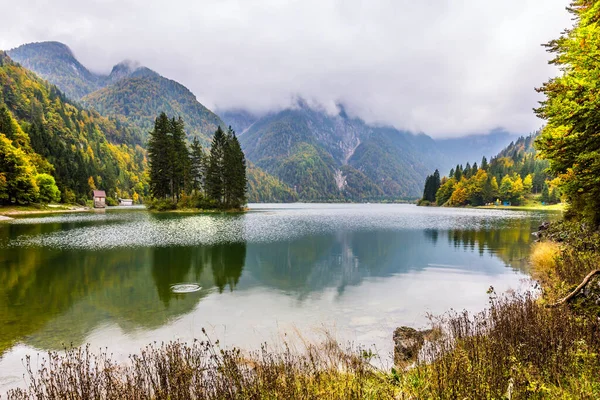 Studený Podzim Alpách Malý Ostrůvek Jezeře Predil Zarostlý Borovicemi Voda — Stock fotografie