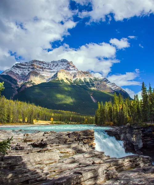 Muhteşem Güçlü Athabasca Şelalesi Turistler Arasında Popülerdir Kanada Nın Rocky — Stok fotoğraf