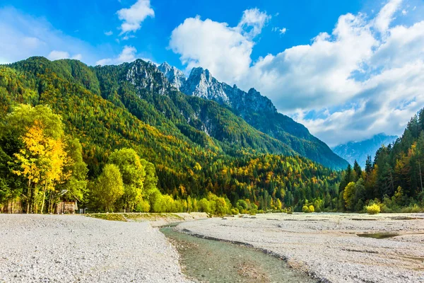 Hory Jsou Zarostlé Hustým Smíšeným Lesem Slavný Triglavský Park Cestování — Stock fotografie