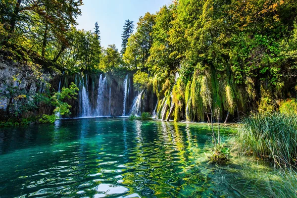 Plitvicesjöarnas Park Kroatien Många Pittoreska Vattenfall Rinner Längs Lerklipporna Den — Stockfoto