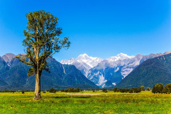 Nova Zelândia Ilha Sul Caminho Lago Matheson Mount Cook Mount — Fotografia de Stock