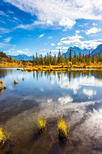 Lac Vermillon Parmi Les Herbes Jaunes Automne Bouleaux Trembles Été — Photo