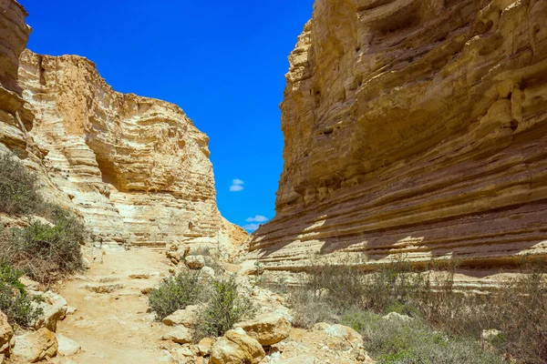 宏伟的埃文达特峡谷是内盖夫沙漠中最美丽的峡谷 以色列 这个峡谷是由清江的水形成的 启动路线 积极旅游和摄影旅游的概念 — 图库照片