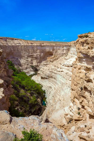 Pintoresco Oasis Antiguo Magnífico Desfiladero Ein Avdat Más Hermoso Del —  Fotos de Stock