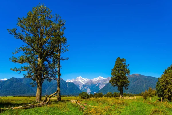 Weg Naar Lake Matheson Mount Cook Mount Tasman Prachtige Reis — Stockfoto