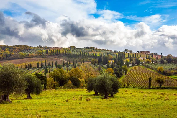 Landelijk Toerisme Landelijke Boerderijen Pittoreske Heuvels Van Toscane Netjes Gladde — Stockfoto