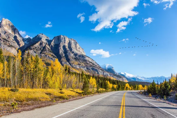 Canadese Rockies Scherpe Toppen Van Rocky Mountains Zijn Duidelijk Zichtbaar — Stockfoto