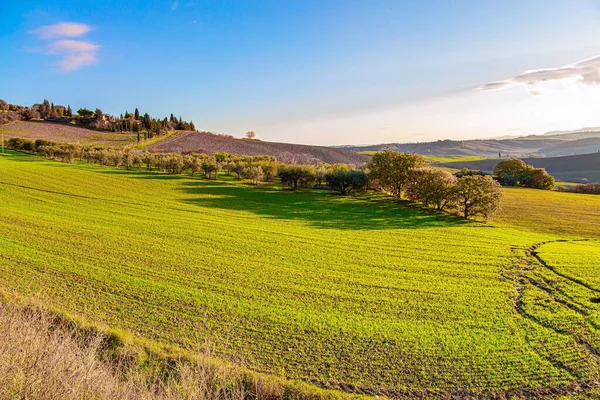 Prachtig Toscane Reis Naar Een Fabelachtig Land Pittoreske Groene Heuvels — Stockfoto