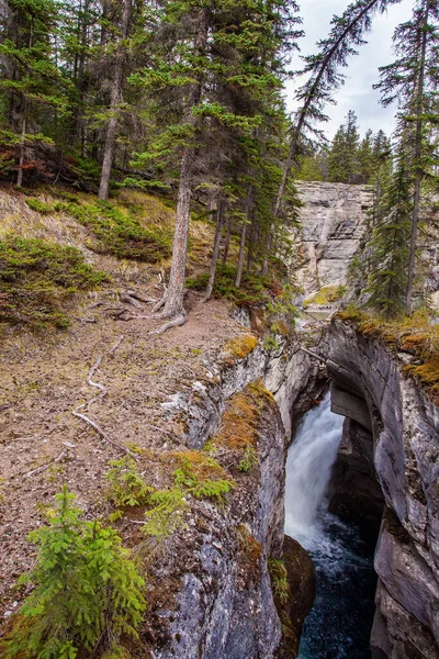 Potente Cascata Una Pittoresca Gola Maligne Canyon Viaggia Verso Montagne — Foto Stock