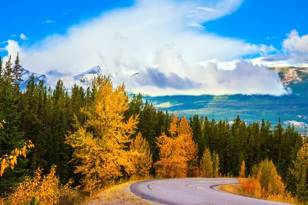 Mount Edith Cavell Road Herrliche Bergstraße Zwischen Nadelwäldern Und Orangefarbenen — Stockfoto