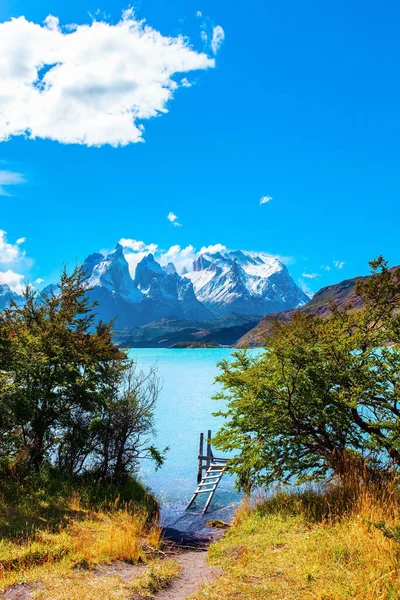 チリへの旅行 パタゴニアアンデスの絵のような湖ペホ 氷河の融解から明るい紺碧の水を持つ巨大な湖 湖で有名な雪に覆われたロス カエルノスの崖 — ストック写真