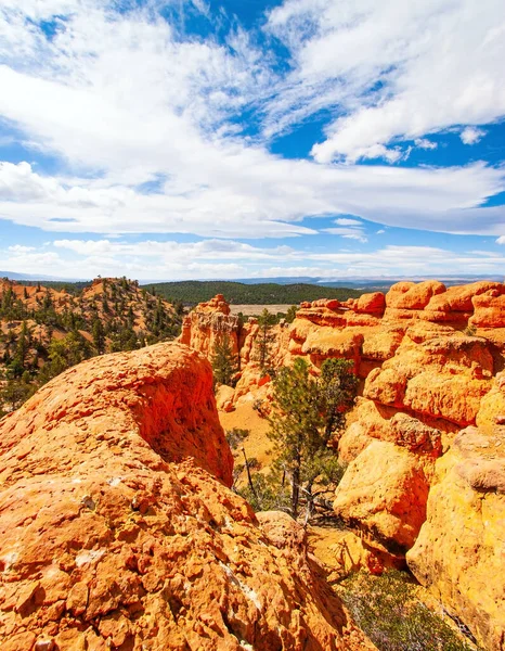 Los Senderos Más Populares Cañón Rojo Red Canyon Arches Losee — Foto de Stock