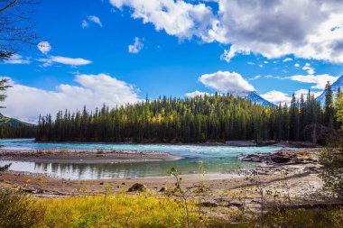 Kanada mı? Athabasca Nehri Jasper Park 'taki Columbia Buzulu' nda başlar. Dağlar, nehirler ve şelaleler muhteşem manzaralar oluşturur. Seyahat, ekoloji ve fotoğraf turizmi kavramı