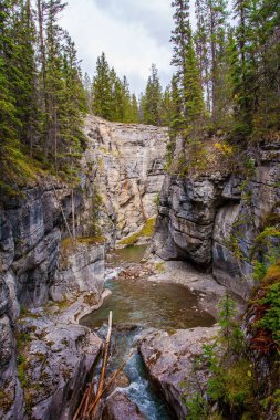 Maligne Kanyonu 'nun manzaralı vadisi. Güzel bulutlu bir gün. Saf kanyon duvarları ve aşağıdaki kaynayan buzlu su. Rocky Dağları 'na git. Kanada