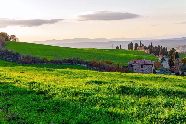Magnífica Provincia Italiana Toscana Campos Colinas Están Cubiertos Niebla Ligera —  Fotos de Stock