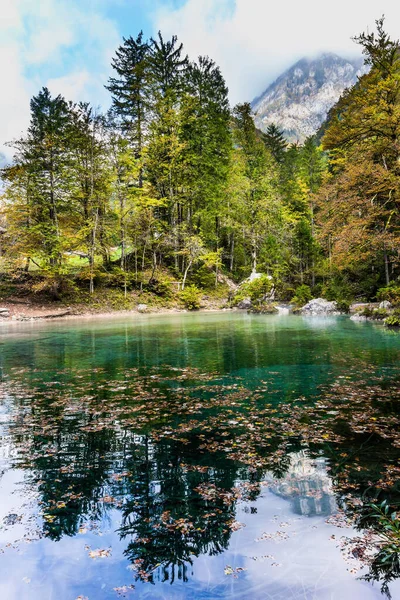 斯洛文尼亚 多雾的一天 朱利安 阿尔卑斯山 淡淡的湖面 绿绿的冰水 覆盖着黄色和橙色落叶 湖中映衬着秋天的森林和多云的天空 — 图库照片