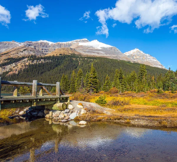Holzbrücke Über Die Pfützen Rund Den Bow Lake Kalter Sonniger — Stockfoto