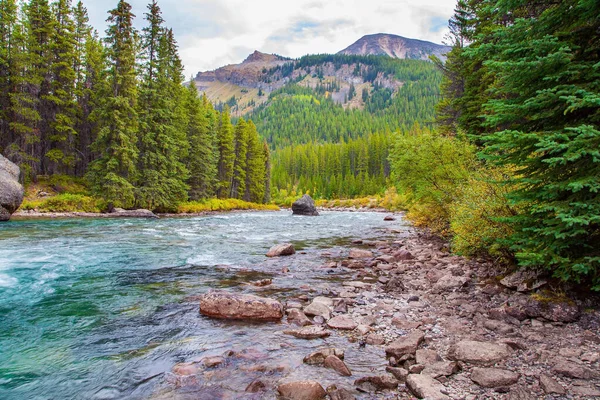 Sjunkande Fjällälv Barrskogen Provinsen Alberta Höstens Resa Till Kanada Rocky — Stockfoto