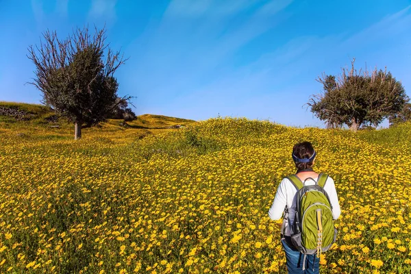 Mujer Está Caminando Campo Hierba Floreciente Desierto Negev Magnífica Primavera — Foto de Stock