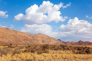 Namibya 'daki sihirli çöl. Sıcak bir gün. Afrika 'ya git. Kuru sarı çimenler ve nadir çöl asyaslarıyla kaplı Savanna. Bereketli bulutlar mavi gökyüzünde süzülür. 