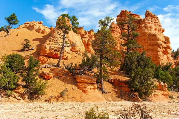 Joshua Boom Hoodoo Zijn Hoge Geologische Formaties Magische Landschappen Van — Stockfoto