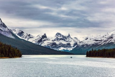 Maligne Gölü 'nün karla kaplı dağları kozalaklı ve yemyeşil ormanlarla çevrilidir. Kanada Kayalıklarında soğuk bulutlu bir sonbahar günü