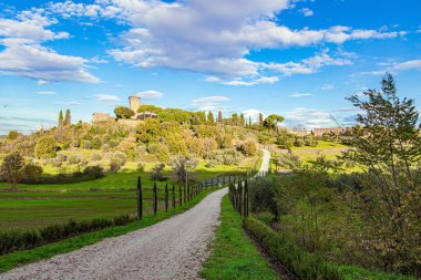 Muhteşem İtalya. Kışın başında güneşli bir gün. Gün doğumu. Toskana 'nın büyülü güzelliği. Tepenin zirvesine giden manzaralı toprak yol. Yol kenarı selvi dolu.  