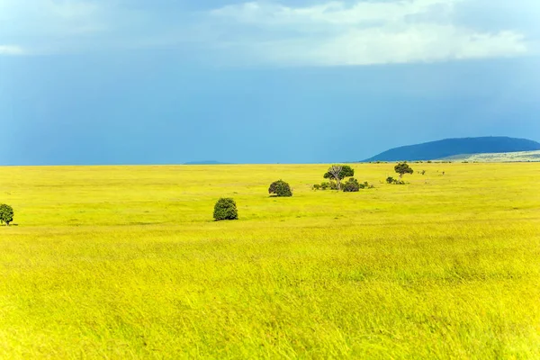 Journey Africa Vast Expanses Horn Africa Famous Masai Mara Reserve — Stock Photo, Image