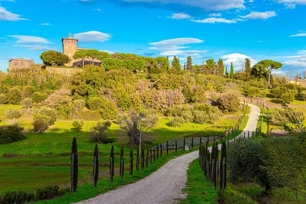 Magica Bellezza Della Provincia Toscana All Alba Strada Sterrata Panoramica — Foto Stock
