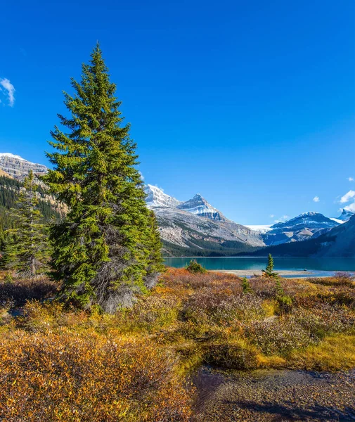 Alberta Kalter Sonniger Herbsttag Die Majestätischen Rocky Mountains Kanada Kiefern — Stockfoto
